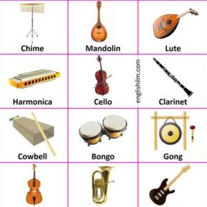 Instruments trivia