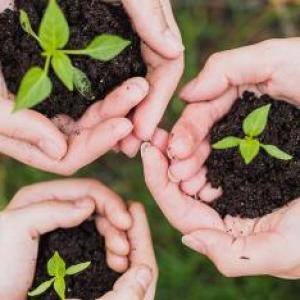 MEDIO AMBIENTE Y SST