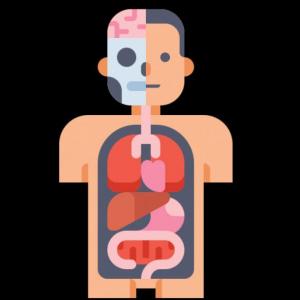 Presentaciones científicas y bioinformática (Ambientes Virtuales)