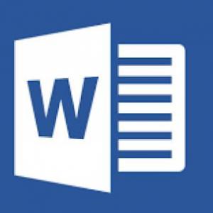 MS WORD