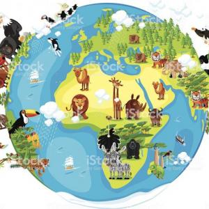 Memoria de animales