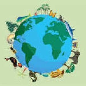 Patrones y tipos de biodiversidad