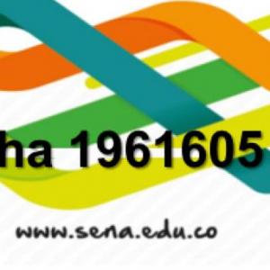 Formación SENA