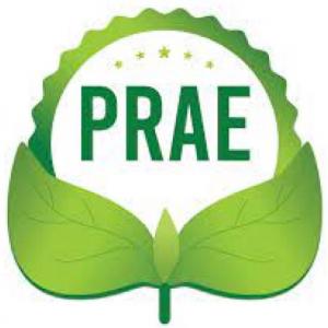 ASPECTOS GENERALES DEL PRAE