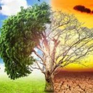 IMPACTOS AMBIENTALES