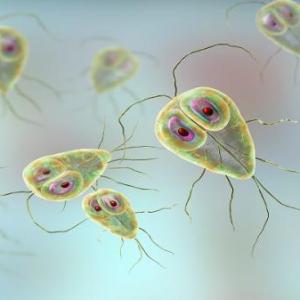 ANTIPARASITARIOS