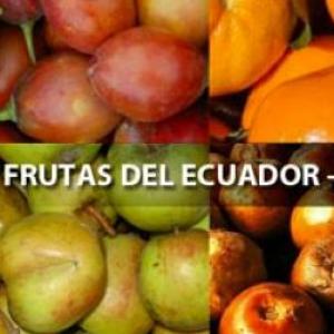preguntas de las frutas del ecuador