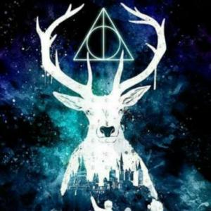 Harry Potter (???)