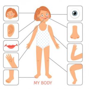Body Parts by Teacher Sarai