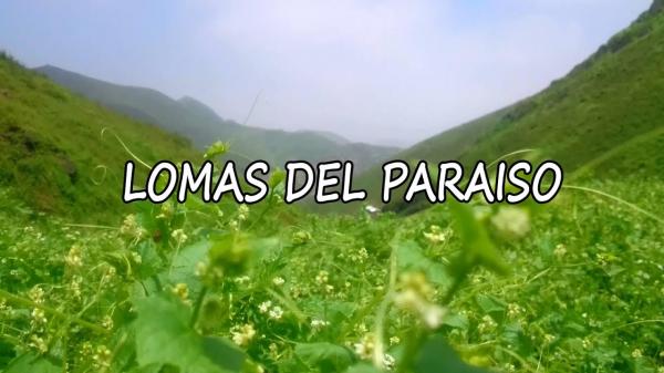 ¿Qué podemos encontrar en las Lomas?