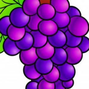 frutas