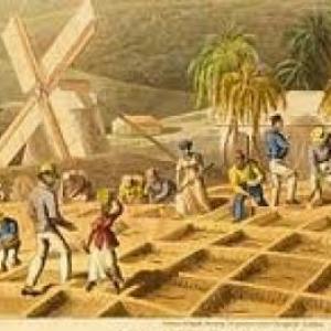 Actividades económicas durante la Colonia