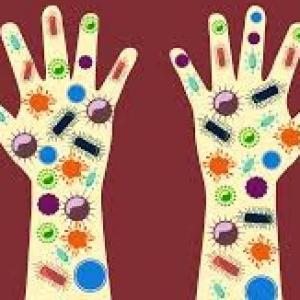 Challenge your knowledge.  What are microbes?