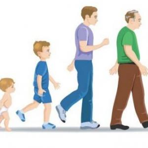 CARACTERISTICAS DE LAS ETAPAS DE LA VIDA