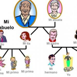 reconociendo a la familia