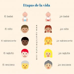 Efectos en las etapas