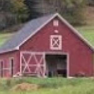 hora de recordar los animales de la granja