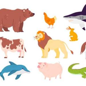 Imagen de portada del videojuego educativo: Animales Carnívoros, de la temática Ciencias