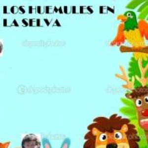 Mobbyt | marcela alonso