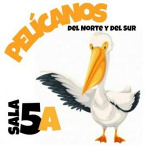 Mobbyt | marcela alonso