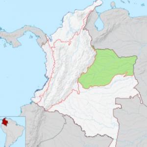 Región Orinoquía.