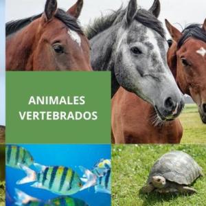 Animales vertebrados