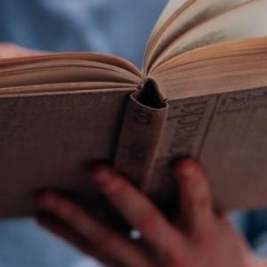 Literatura