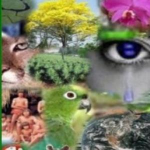 Flora y Fauna de Mendoza. 