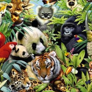 Imagen de portada del videojuego educativo: Memorice animales de la Selva, de la temática Medio ambiente