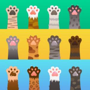 patas de animales