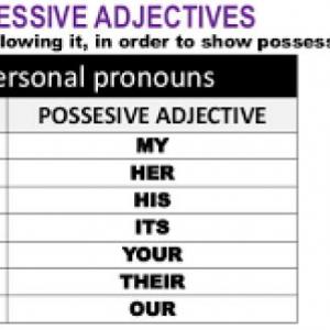 Possessive Adjectives