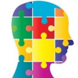 Proceso de Desarrollo Vocacional 