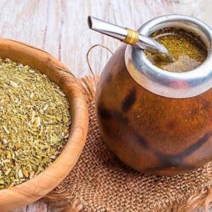 Trivia sobre la yerba mate y sus eslabones.