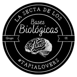 Bases Biotapiasticas