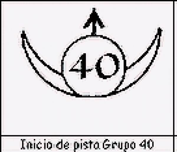 Pistas naturales