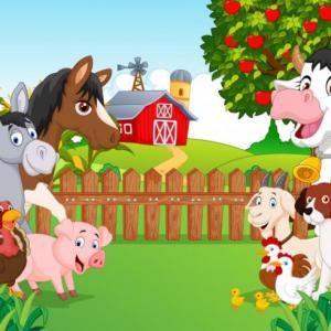 Imagen de portada del videojuego educativo: Juguemos y aprendamos  a cuidar y ayudar a los animales., de la temática Cultura general