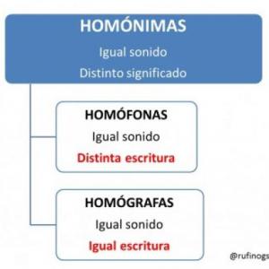 Imagen de portada del videojuego educativo: Homofonas y homografas EPIC, de la temática Lengua
