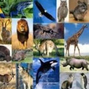 Trivia de Ciencias Naturales para tercer grado. 