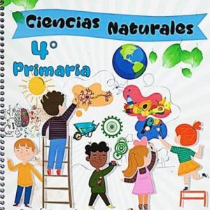 PREVENCIÓN DE RIESGOS