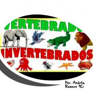La evolución en animales vertebrados e invertebrados