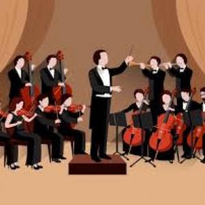 MUSICAL INSTRUMENTS