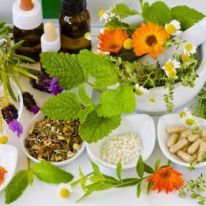 Plantas medicinales