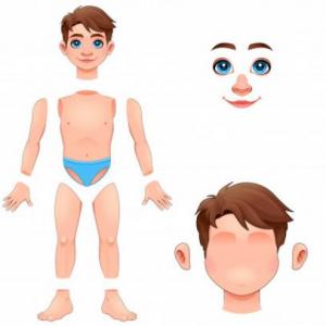 EL CUERPO HUMANO