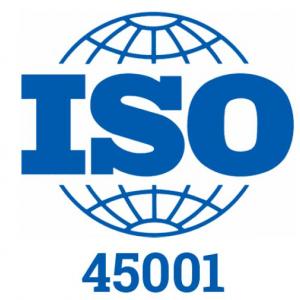 ISO 45001-CAPITULO 9
