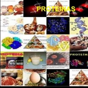 Imagen de portada del videojuego educativo: proteinas, de la temática Química