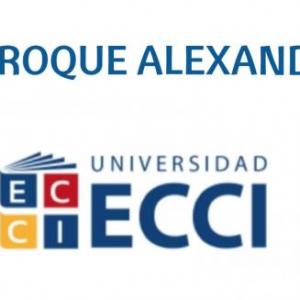 Roque Alexander  Pineda Castro