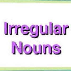 Reviewing Irregular Nouns