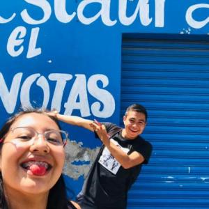 7 meses