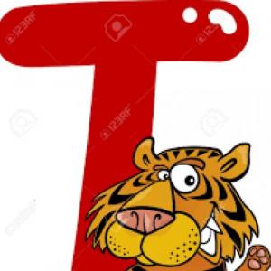PALABRAS QUE LLEVAN "T"