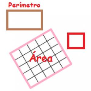 ¡Encontremos el rectángulo!
